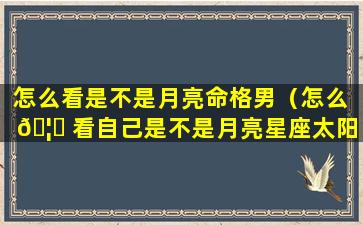 怎么看是不是月亮命格男（怎么 🦍 看自己是不是月亮星座太阳 🕊 星座）